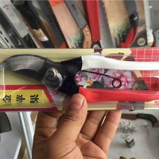 金蘋果手剪 ，整枝剪