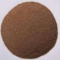 草坪夏季草交播狗牙根，矮生百慕大季節(jié)來臨，提前預備種子