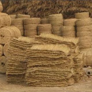 上海綠化草繩草包批發(fā)零售，土球繩，繞樹(shù)繩