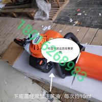 上海浦東，綠化割草，修剪旺季，注意綠籬機，草坪機，割灌機 日常保養(yǎng)